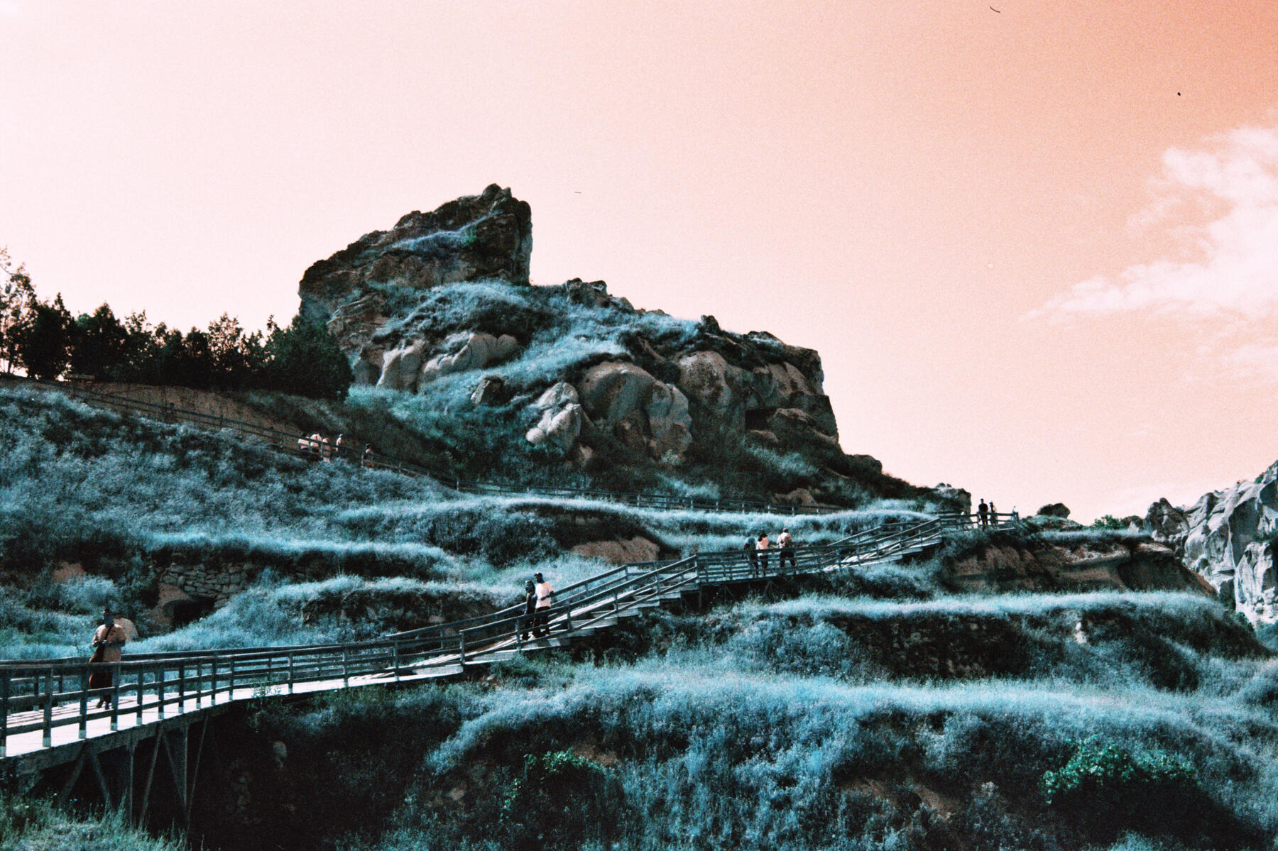 deneme 123 asdasdasdas